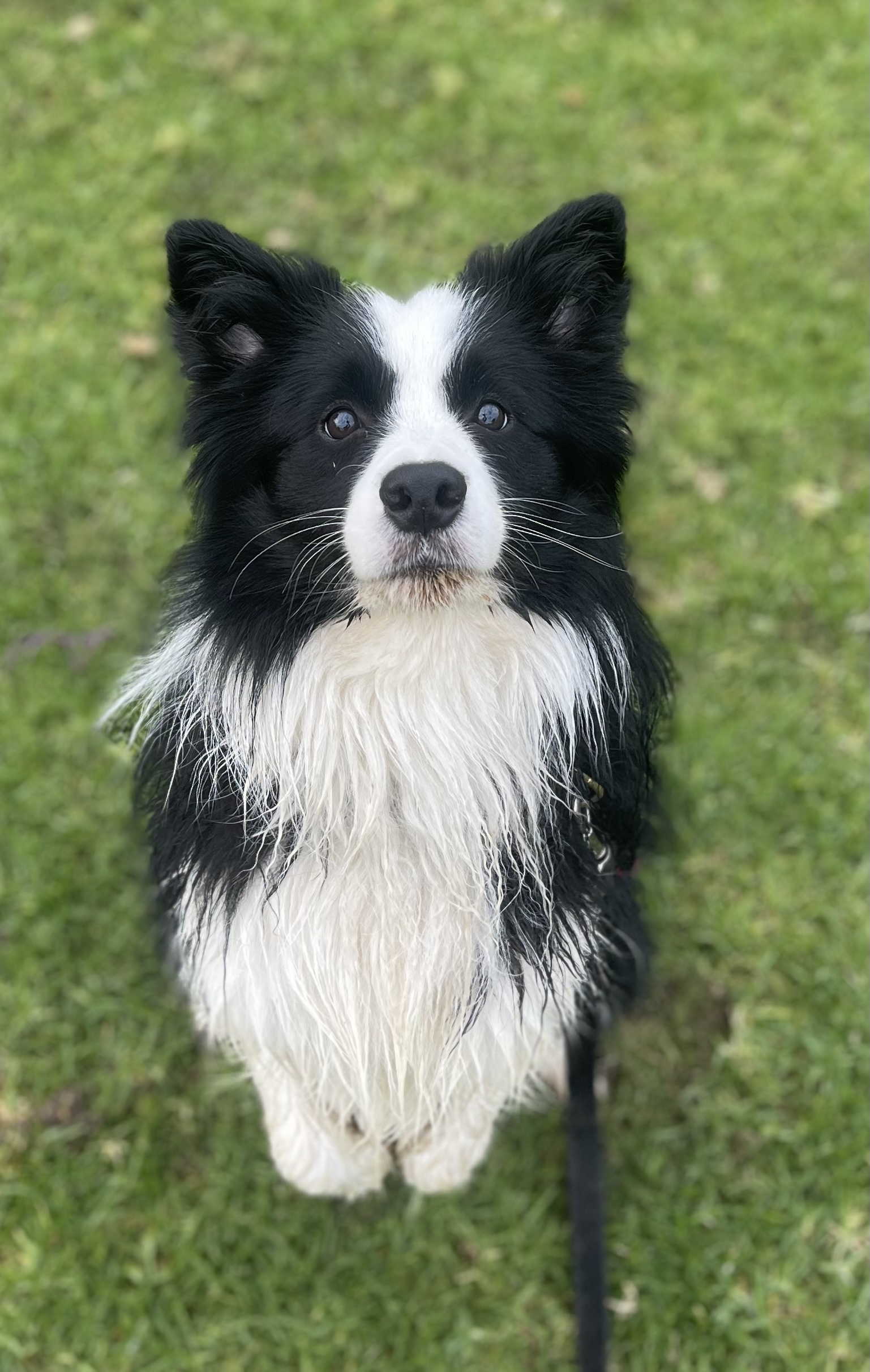 Zuko - original photo
